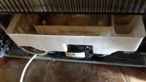 Crusty, but dry, reservoir