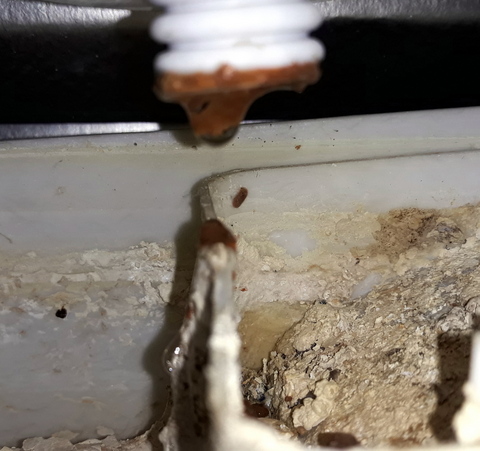 The water starts to run!