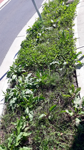 What it looks like now