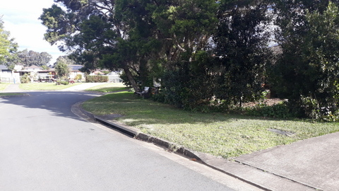 We have 3 metres of verge between us and the road