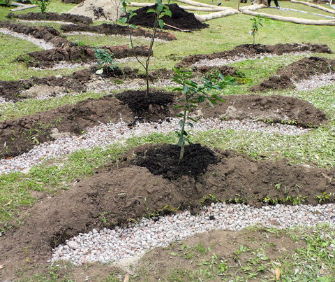 Microclimates - Part 3: Modifying and creating microclimates Part B ...