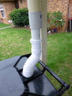 The Trap etc in place