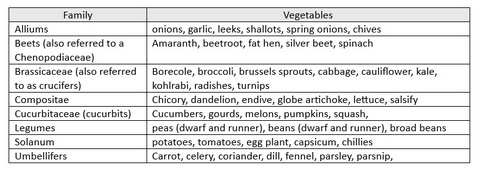 Fullscreen capture 29122024 12621 PM.bmp