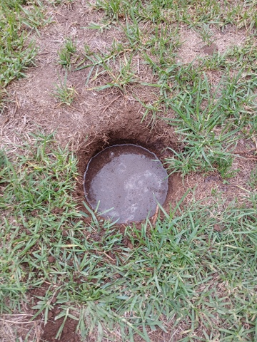 20250225 133207   Copy