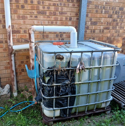 20250403 171005   Copy