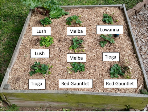 Fullscreen capture 5102025 42350 PM.bmp