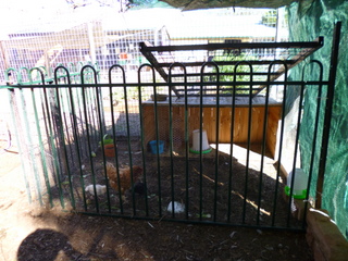Pool fencing brooder area