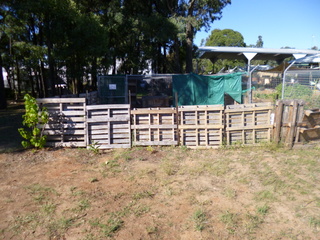 The yard, surrounded by pallets