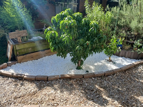 20251111 163340