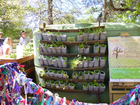 A vertical veggie garden made out of wood and recycled plastic milk bottles
