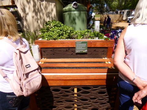 An (apparently commercial) aquaponics set up