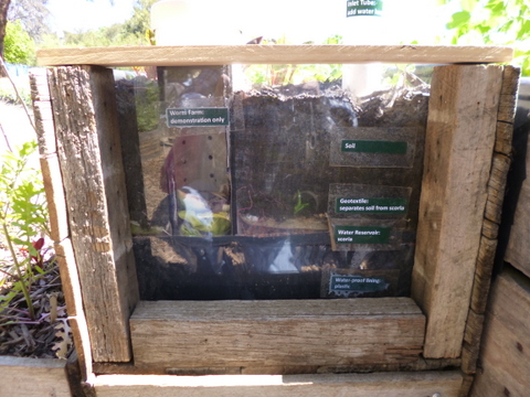 The end of a demonstration wicking bed with veiwing window