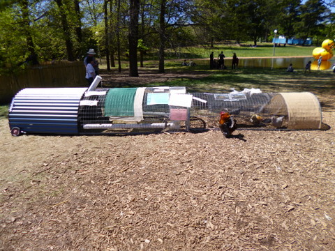 Humungous Chook Tractor