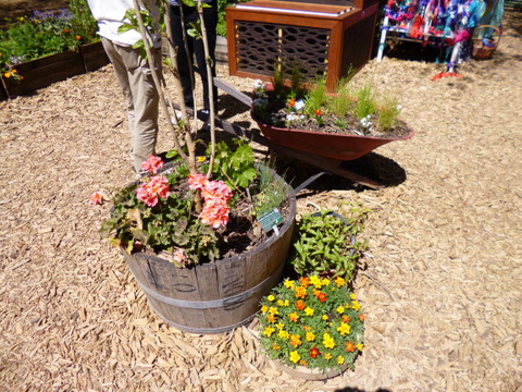 Container Gardens