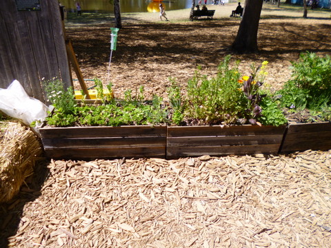 Raised Beds