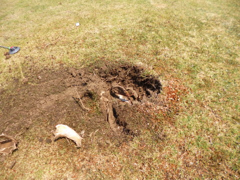 It started with a hole!