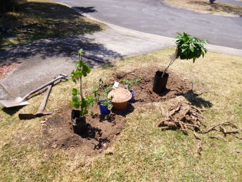 This is where I want stuff to go