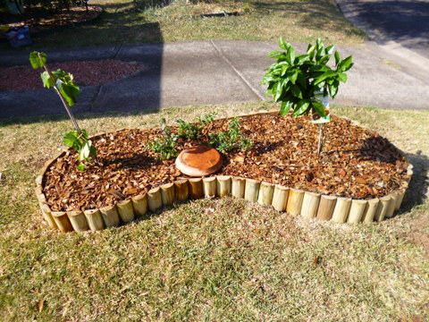 Mulch, keeps the water where you need it!