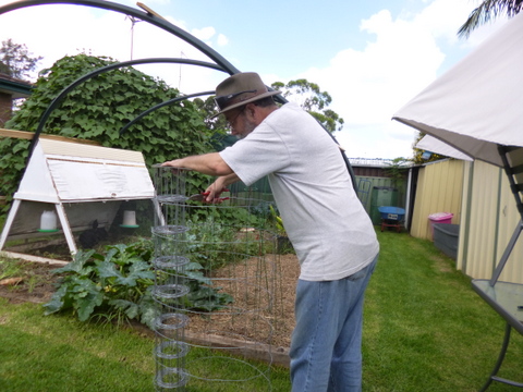 Cutting the mesh away from the roll