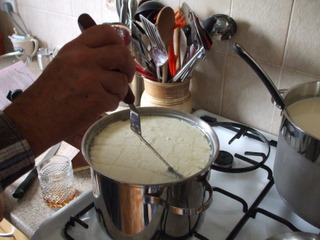 cutting the curd