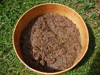 Detritus left on the sieve