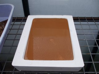 Slurry poured into the plaster drying bat