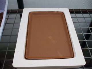 Fully dried the next day