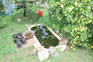 The Water Garden Bath - Early Spring The Water Garden Bath - Early Spring