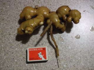 Freshly harvested home grown ginger