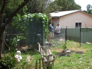 Looking down the chook pen