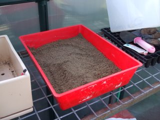 Kitty litter tray complete with sharp sand Kitty litter tray complete with sharp sand