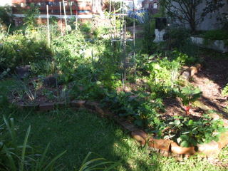 Mandala Style Garden