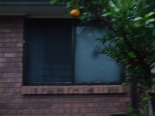 Shade cloth and frame on bedroom window